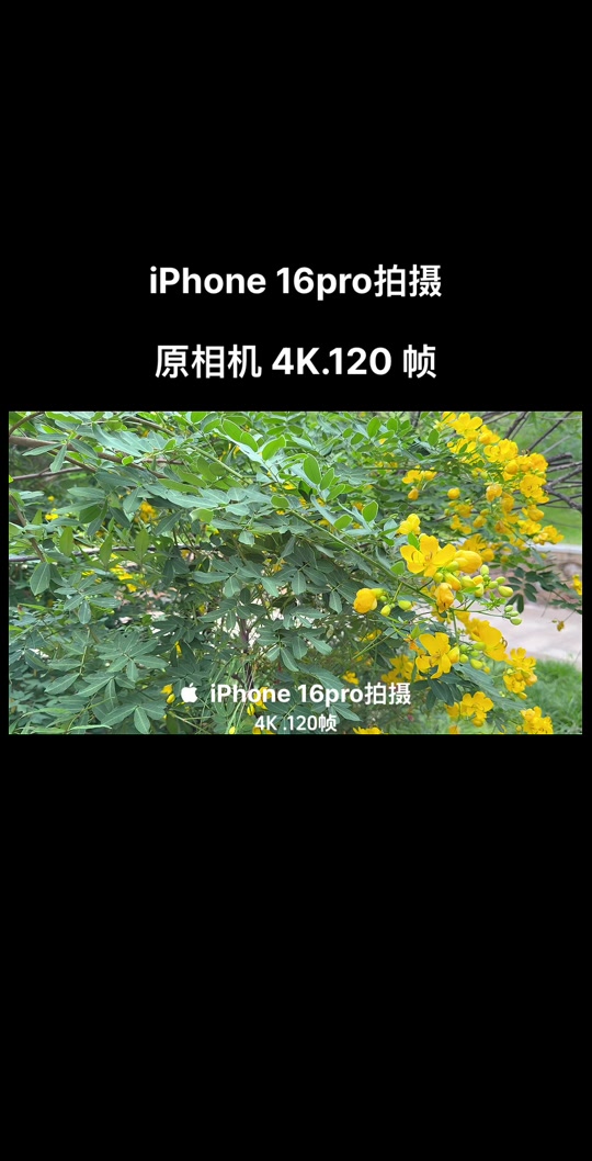 苹果120高刷屏版画质助手苹果版120帧-第2张图片-太平洋在线下载